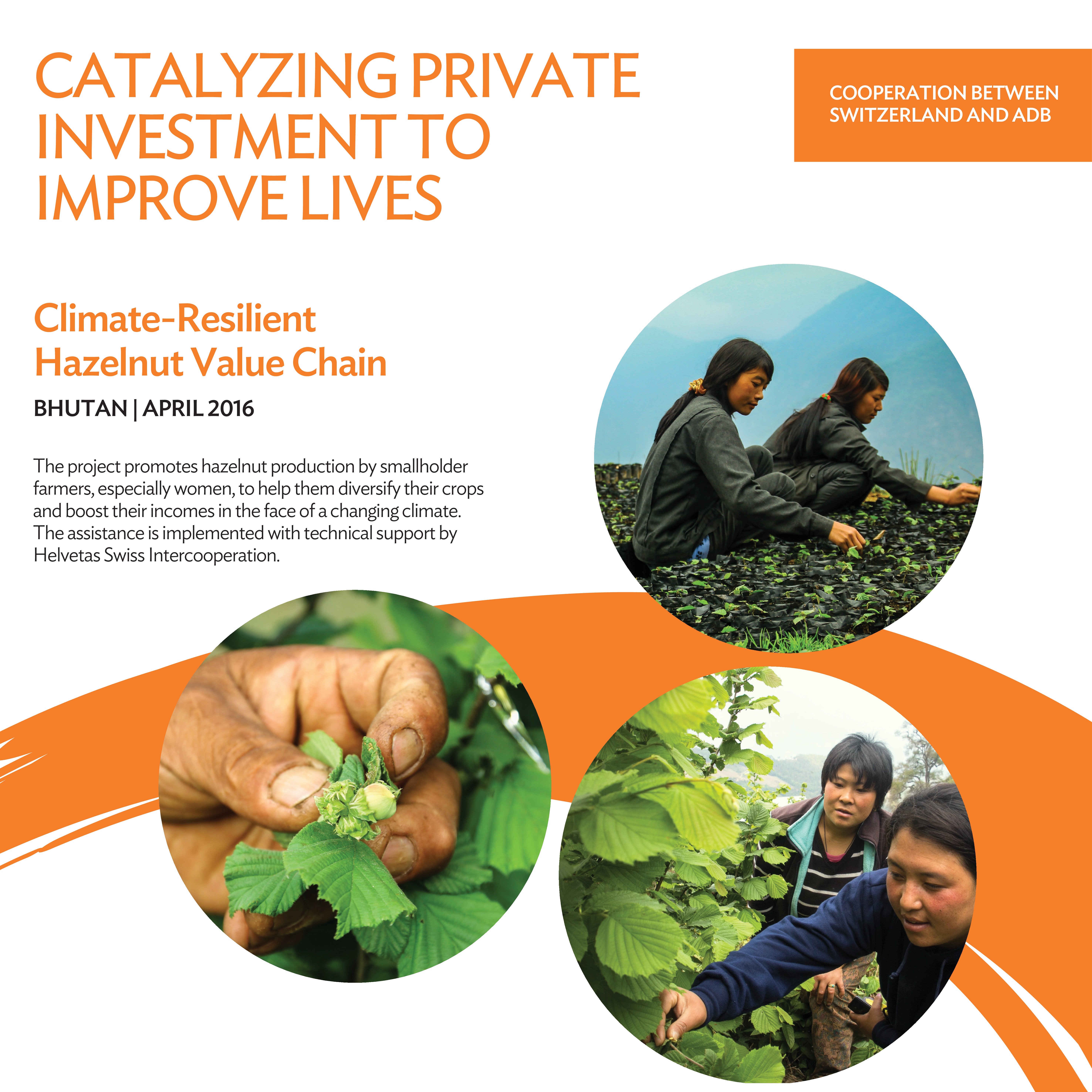 Climate-Resilient Hazelnut Value Chain, Bhutan, April 2016